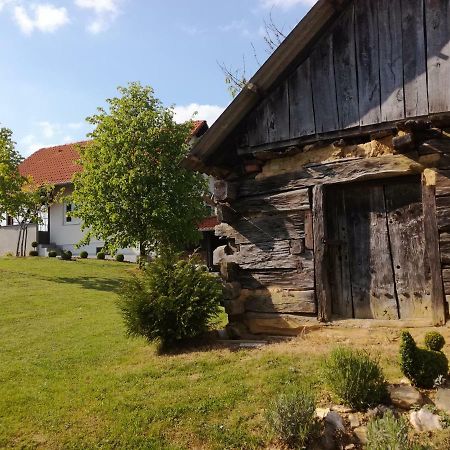 Kuca Za Odmor ,,Oletic 2" Villa Sveti Martin Na Muri Exterior photo