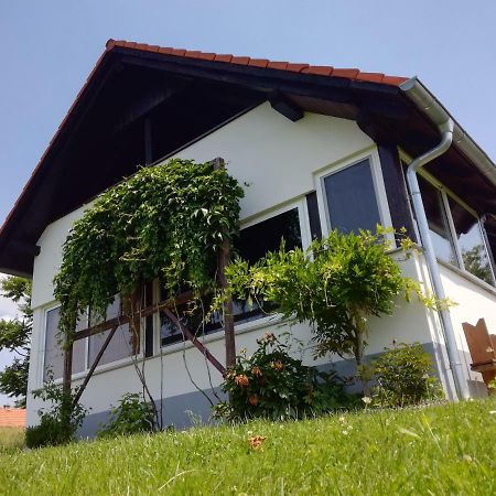 Kuca Za Odmor ,,Oletic 2" Villa Sveti Martin Na Muri Exterior photo
