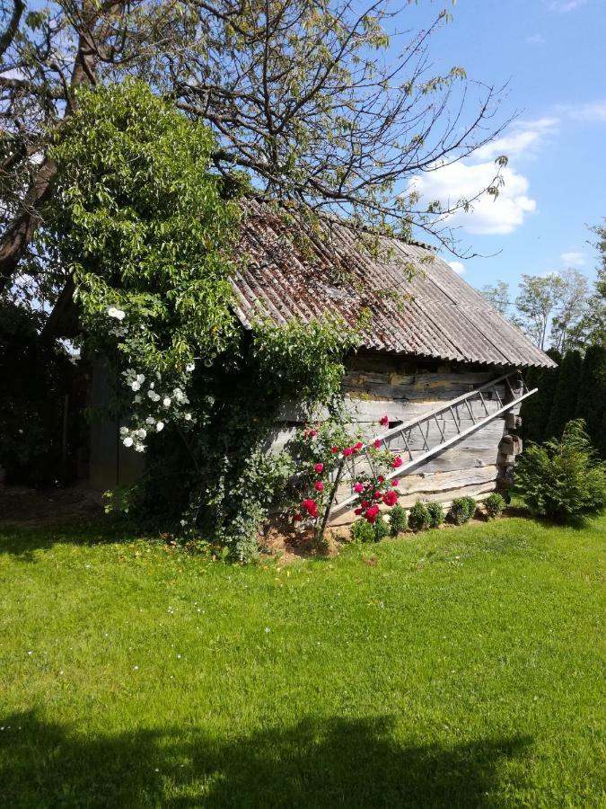 Kuca Za Odmor ,,Oletic 2" Villa Sveti Martin Na Muri Exterior photo