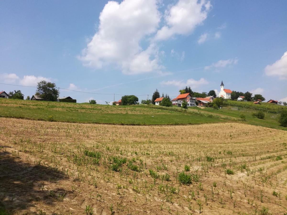 Kuca Za Odmor ,,Oletic 2" Villa Sveti Martin Na Muri Exterior photo
