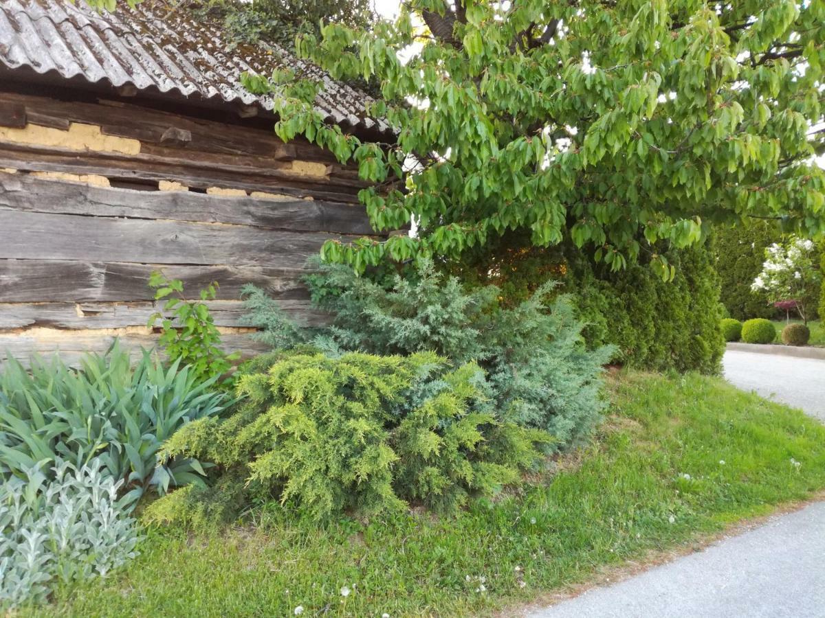 Kuca Za Odmor ,,Oletic 2" Villa Sveti Martin Na Muri Exterior photo