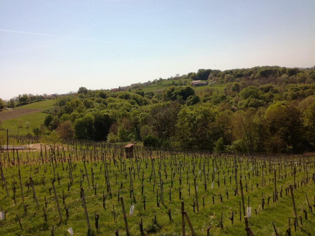 Kuca Za Odmor ,,Oletic 2" Villa Sveti Martin Na Muri Exterior photo