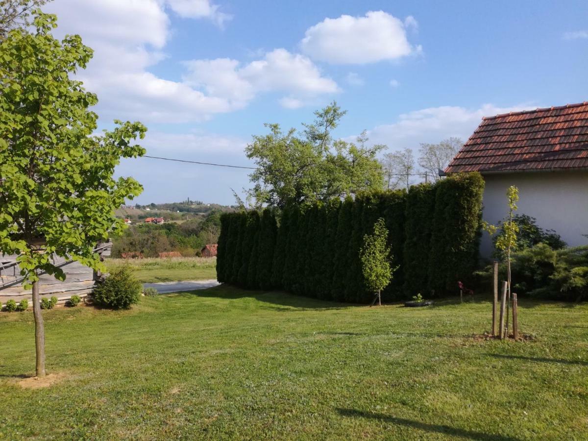 Kuca Za Odmor ,,Oletic 2" Villa Sveti Martin Na Muri Exterior photo