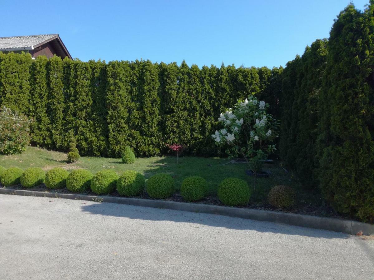 Kuca Za Odmor ,,Oletic 2" Villa Sveti Martin Na Muri Exterior photo